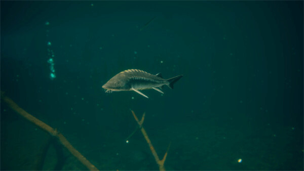 终极钓鱼模拟2手机版