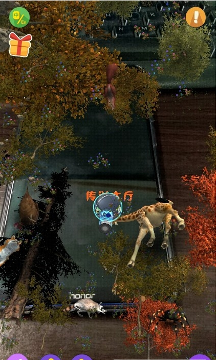 猫小智动物园AR