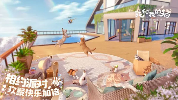 我和我的猫游戏官方版