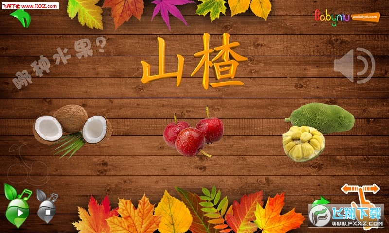 宝贝牛水果认知