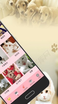 人猫狗交流器