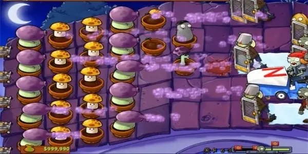 植物大战僵尸国际版正版