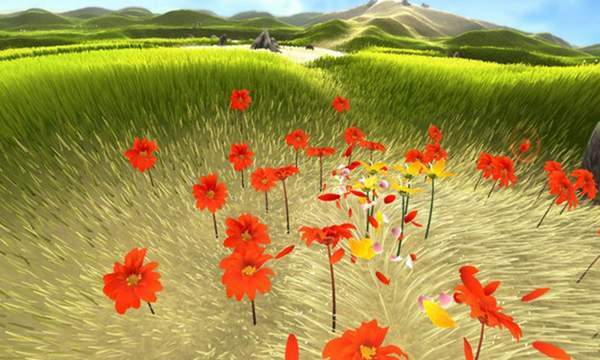 Flower花
