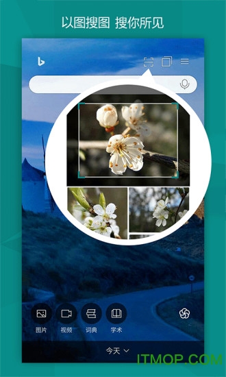 必应浏览器国际版