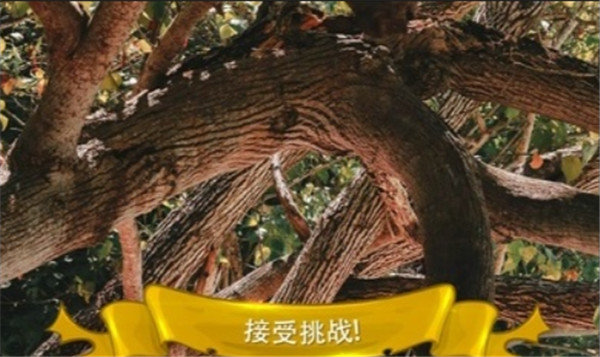 寻找猫隐藏对象3手机版