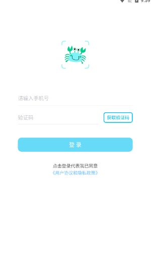 看鱼
