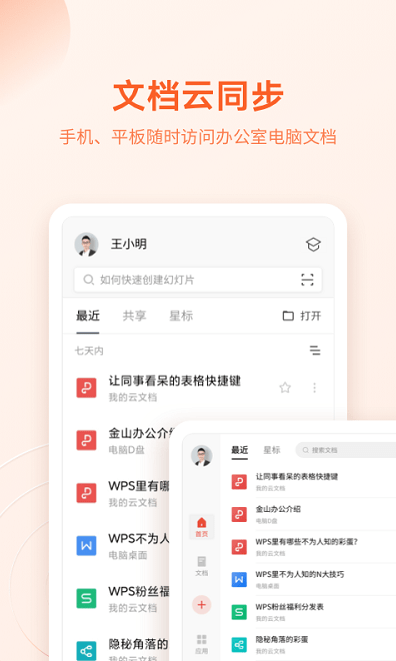 WPS Office纯净专业中文版