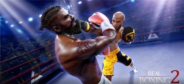 真实拳击2