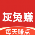 灰兔赚