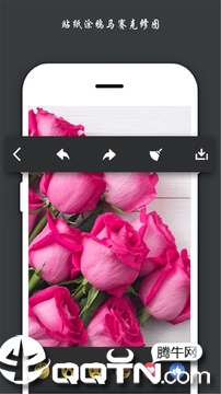 Fused安卓版官方版最新