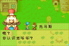 牧场物语矿石镇的伙伴们