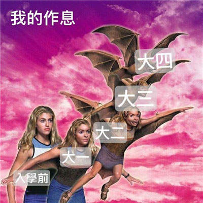 当代大学生进化史表情包