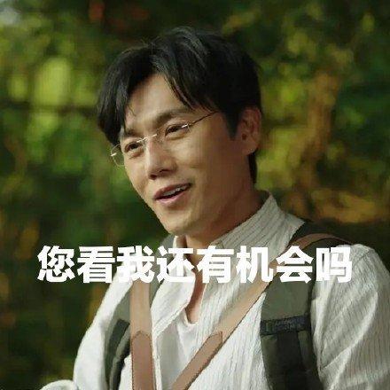 隐秘的角落张东升表情包