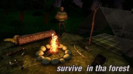 最终的野外逃生游戏手机版