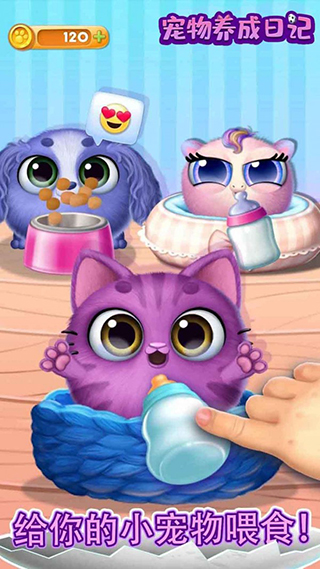 宠物狗狗养成日记