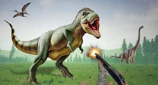 Shark Deadly Hunting Beach