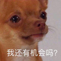 张东升你看我还有机会吗表情包