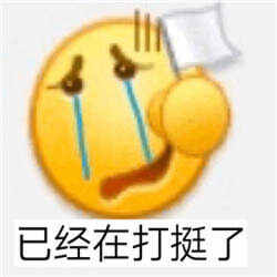 双11打挺人表情包