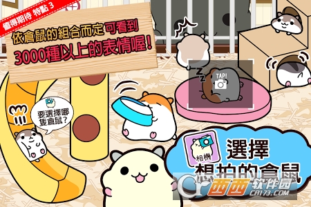 仓鼠收集
