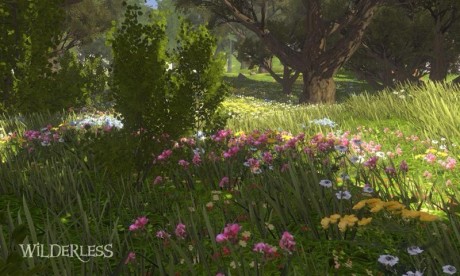 流浪荒野中文版