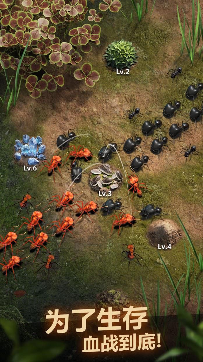 小小蚁国免广告