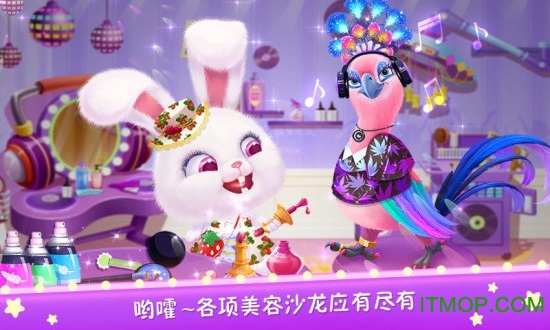 毛绒宠物美容院