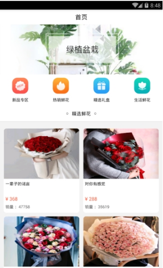 活力花