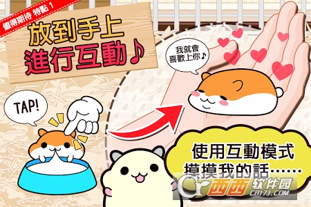 仓鼠收集