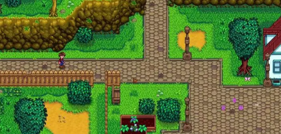 星露谷物语联机版