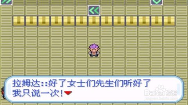 口袋妖怪火箭队汉化版