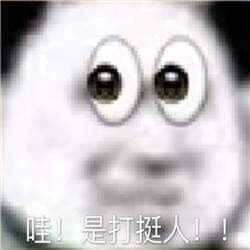 双11打挺人表情包