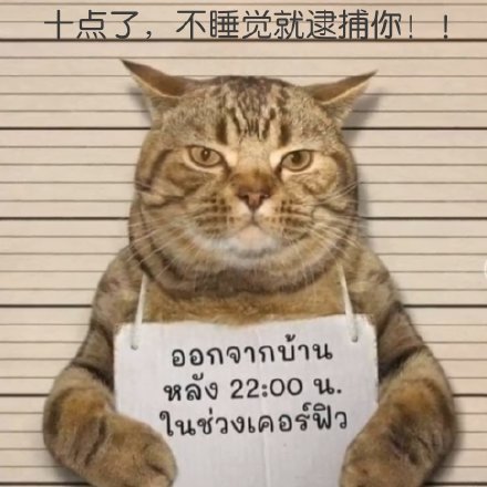 猫咪违反出行被捕表情包
