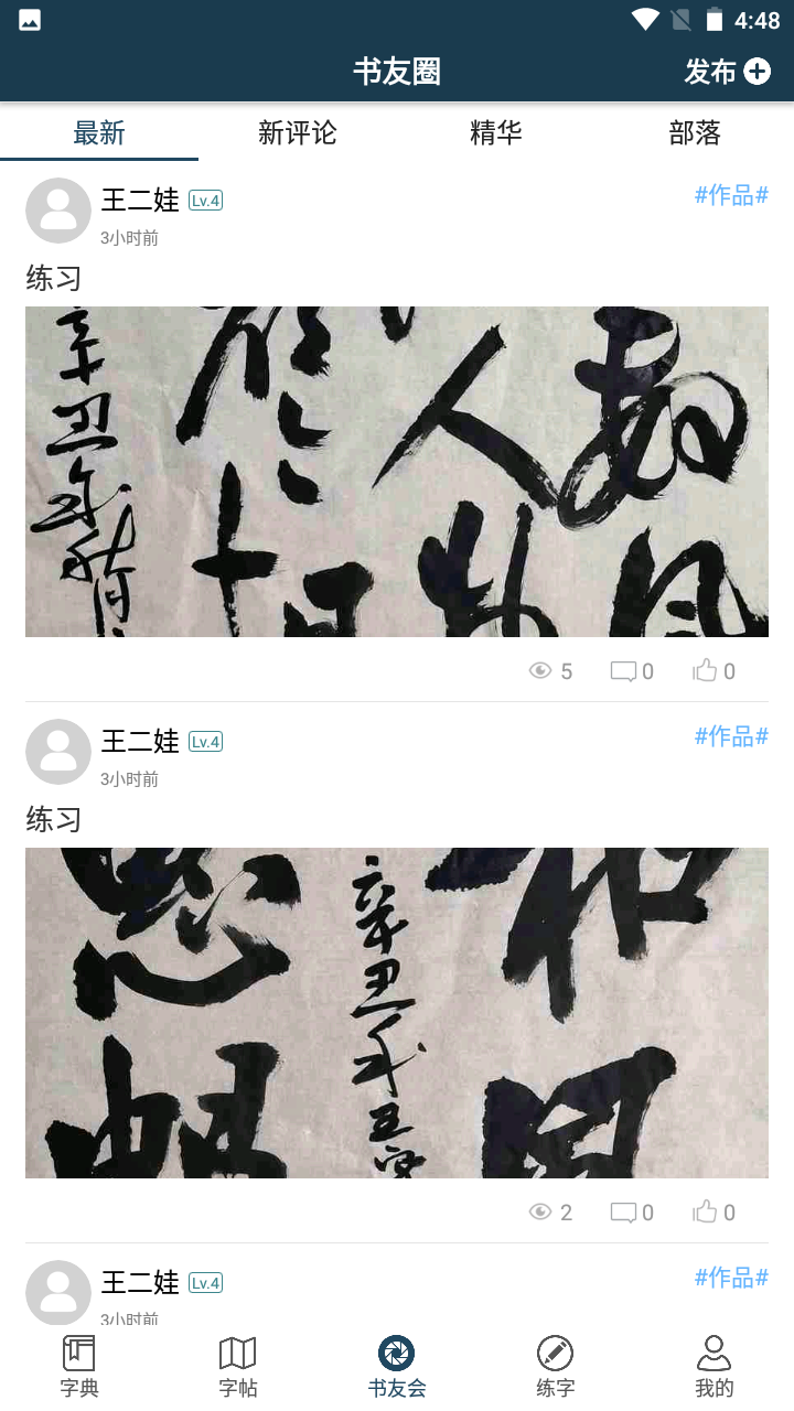 汉字书法字典