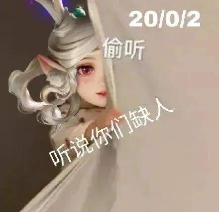 王者荣耀听说你们缺人表情包