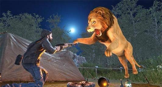 Shark Deadly Hunting Beach