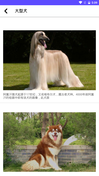 狗狗图鉴手机版