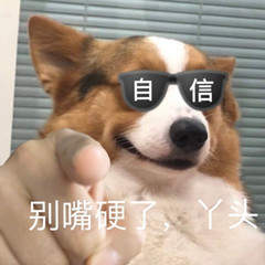 哈士奇指人表情包