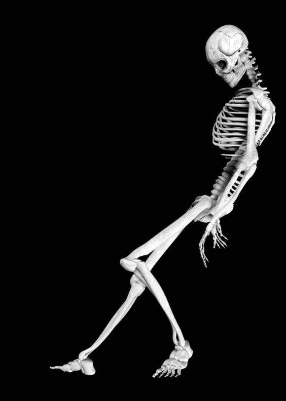 我有一张露骨照片你要看吗图库安卓版下载