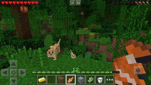 我的世界1.11.0.1版本