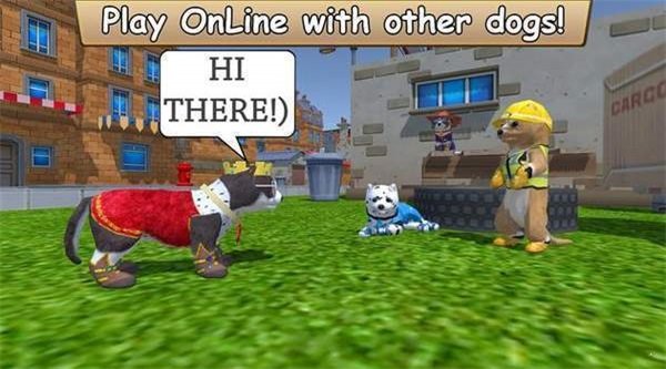 美国Zoom动物游戏最新版