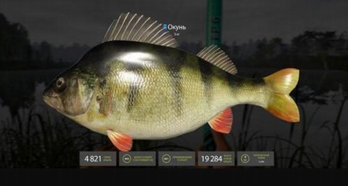 俄罗斯钓鱼4官网版