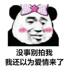 微信拍一拍表情包