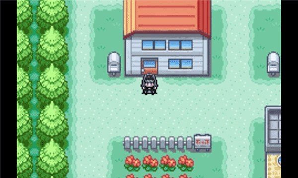 口袋妖怪火红叶绿金手指