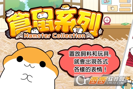 仓鼠收集
