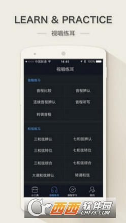 练耳大师