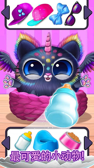 宠物狗狗养成日记