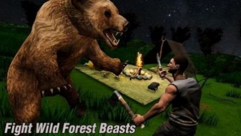 最终的野外逃生游戏手机版