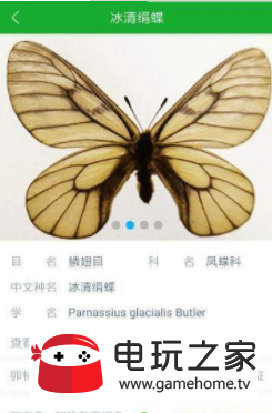 虫警