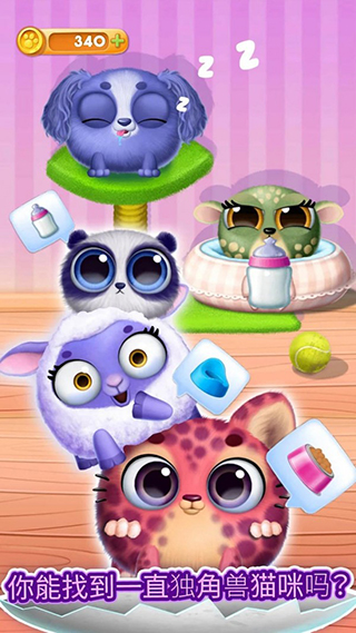 宠物狗狗养成日记