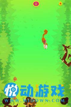 花栗鼠小秋天